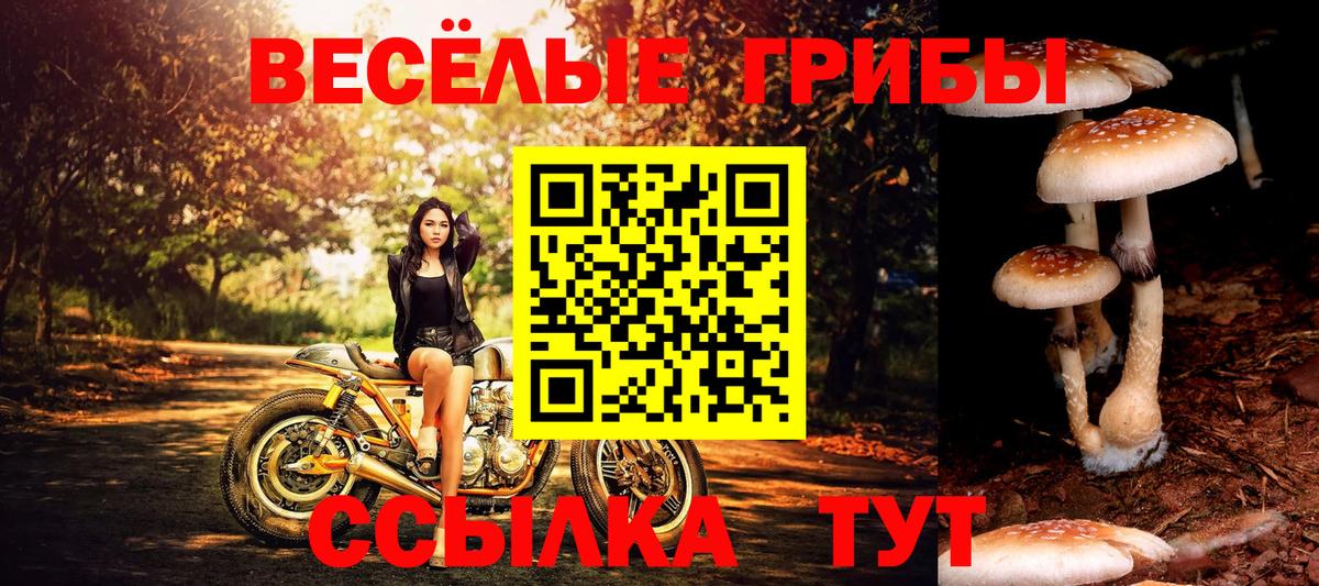 Галлюциногенные грибы MAGIC MUSHROOMS Саранск